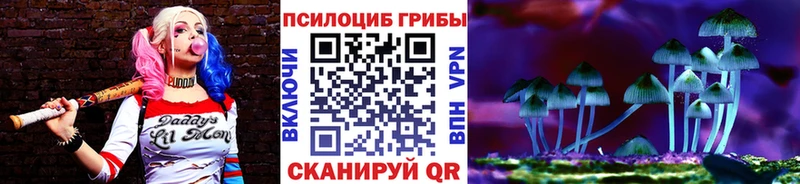 где купить наркотик  Закаменск  Псилоцибиновые грибы Psilocybe 